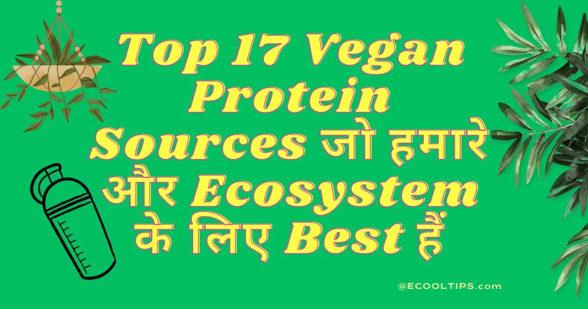 Top 17 Vegan Protein Sources in 2024