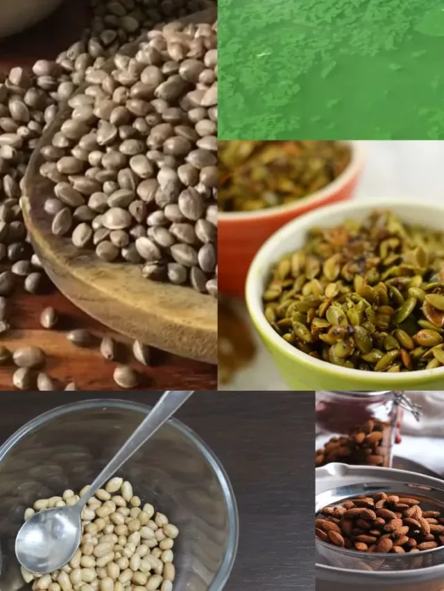 Top 10 Plant Proteins with all 9 Essential Amino Acids